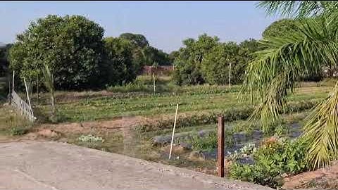 75KVA Servo Voltage Stabilizer I Call 9999369689 I Servomate #servovoltagestabilizer