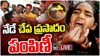 LIVE: Fish Prasadam Distribution At Nampally | మృగశిరకార్గె సందర్భంగా నేడు, రేపు చేపమందు పంపిణీ|10TV