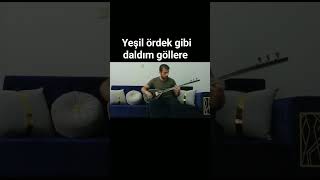 Yeşil ördek gibi daldım göllere Elektro bağlama #elektrobağlama Resimi