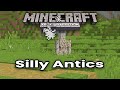 Minecraft Silly Antics