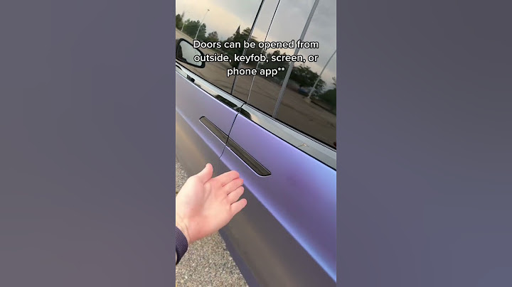 Imagine your kid opening the Model X door at a red light 🤣🤣