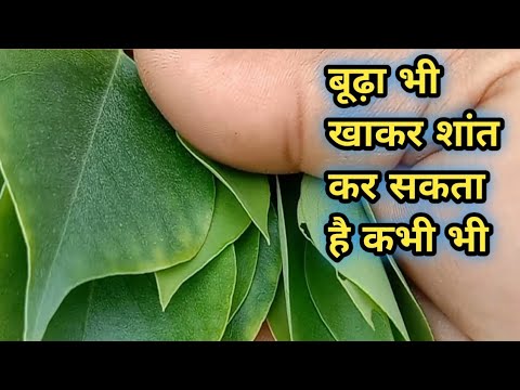 वीडियो: लंबे समय से दूर से