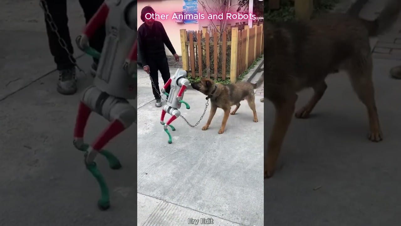 Robots vs Animals and This One 🤖 💀