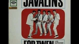 Franky Freek Frankie Franken Indorock - The Javalins, The Crazy Rockers, Franky Franken Selections chords