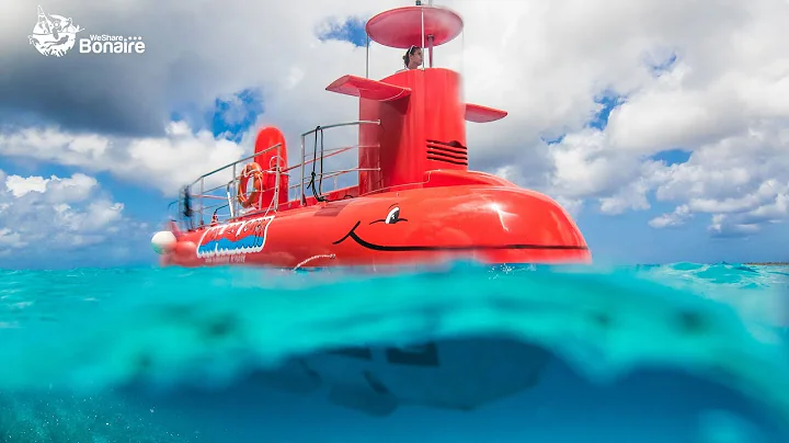 Bon-Sea – Semi-submarine Bonaire - DayDayNews