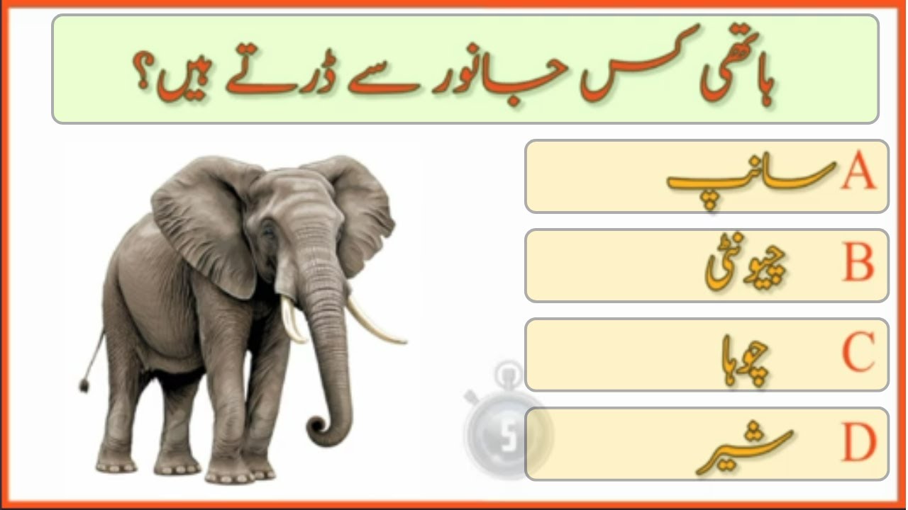 50 General Knowledge Question Answers in Urdu | New Paheliyan in Urdu | Maloomat