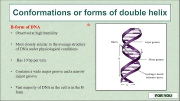 Structure of DNA |  Forms of DNA |  Detailed Explanation for CSIR-NET (Life Sciences)