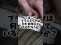 Q:プラスチック爆弾はプラスチックでできているの?
