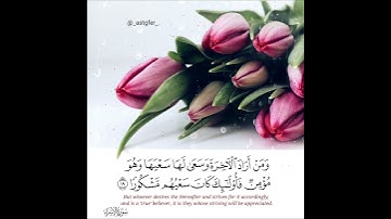 القارئ #عبدالبديع_غيلان || حالات واتس آب💖💮