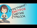 Как снять стресс и успокоить нервы с помощью растяжки: 3 базовых упражнения стретчинга