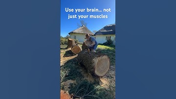 Loading a stump that’s too heavy to pick up