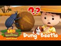 Hero&#39;s ball smells BAD! 🤮💩 | Dung Beetle | Leo the Wildlife Ranger | Kids Cartoons