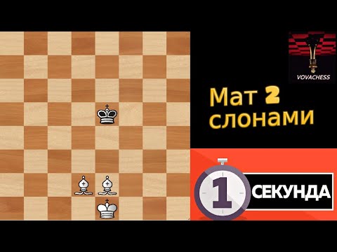 Мат 2 слонами + объяснение. 1 секунда на ход #1