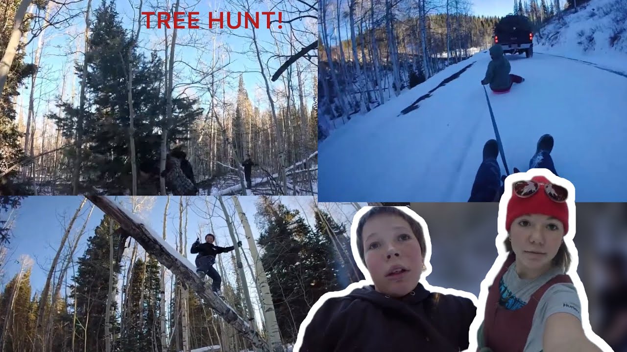 We Went Christmas Tree Hunting In The Deep Forest (best tree ever)