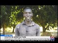 Youth in agriculture  news desk on joynews 16119