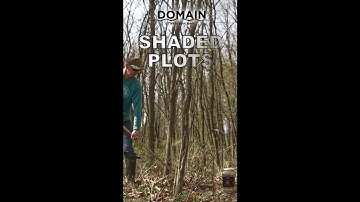 How to Plant in Shaded Areas