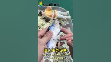 Real-Person to 3D Printed Figurine