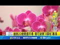 黃呂錦茹認罪事件