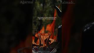 Bir Gecede Saçım Ağardı... 😢 Resimi