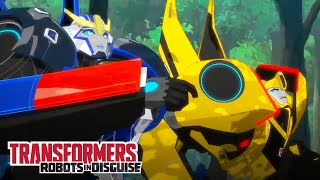 The Chase is on! | Robots in Disguise | Compilation | Animation | Transformers Official