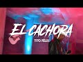 El de los 20  el cachora oficial  tito flix  1m music 2022