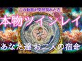 【片割れから感涙メッセージ】本物ツインレイ👫💞あなた達お2人の宿命☯️〔ツインレイ🔯霊感霊視チャネリング🔮タロット、オラクル、ルノルマン細密カードリーディング〕