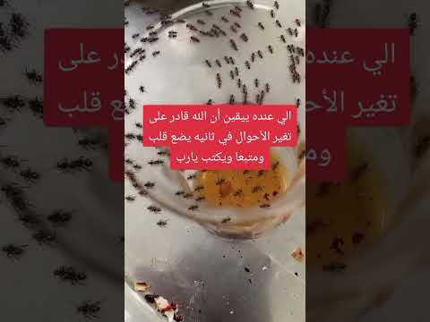 الله يجعلك تبكي من شده الفرح بعد 20دقيق اكتب يارب وانتضر الفرج