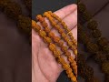 5 mukhi rudraksha japa mala with 5 mm 6 mm 7 mm 9 mm 108 beads for meditation and peace