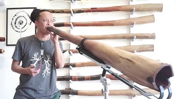 Jesse Lethbridge Didgeridoo key of G# (#3618)