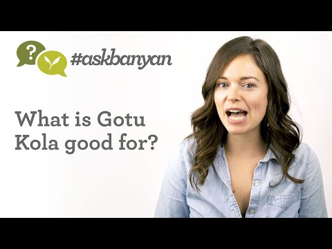 Video: Gotu Kola - Reviews, Contraindications, Instructions
