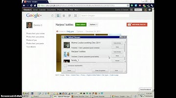 Picasa 3.9 renderng wrong contact icon and upload