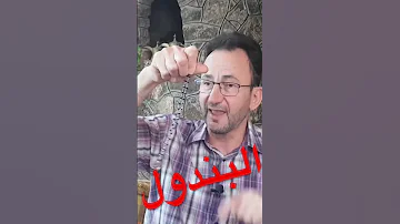 البندول اهتزاز العوالم نقطة العقل الكلي 