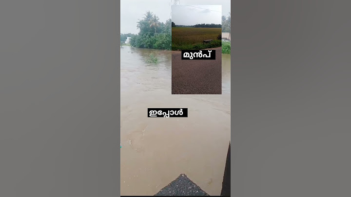 പാടങ്ങൾ പുഴയാകുന്ന അവസ്ഥ #heavyrain #rain  #kerala