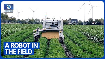 Meet BoniRob, A Robot Who Helps Farmers To Destroy Weeds