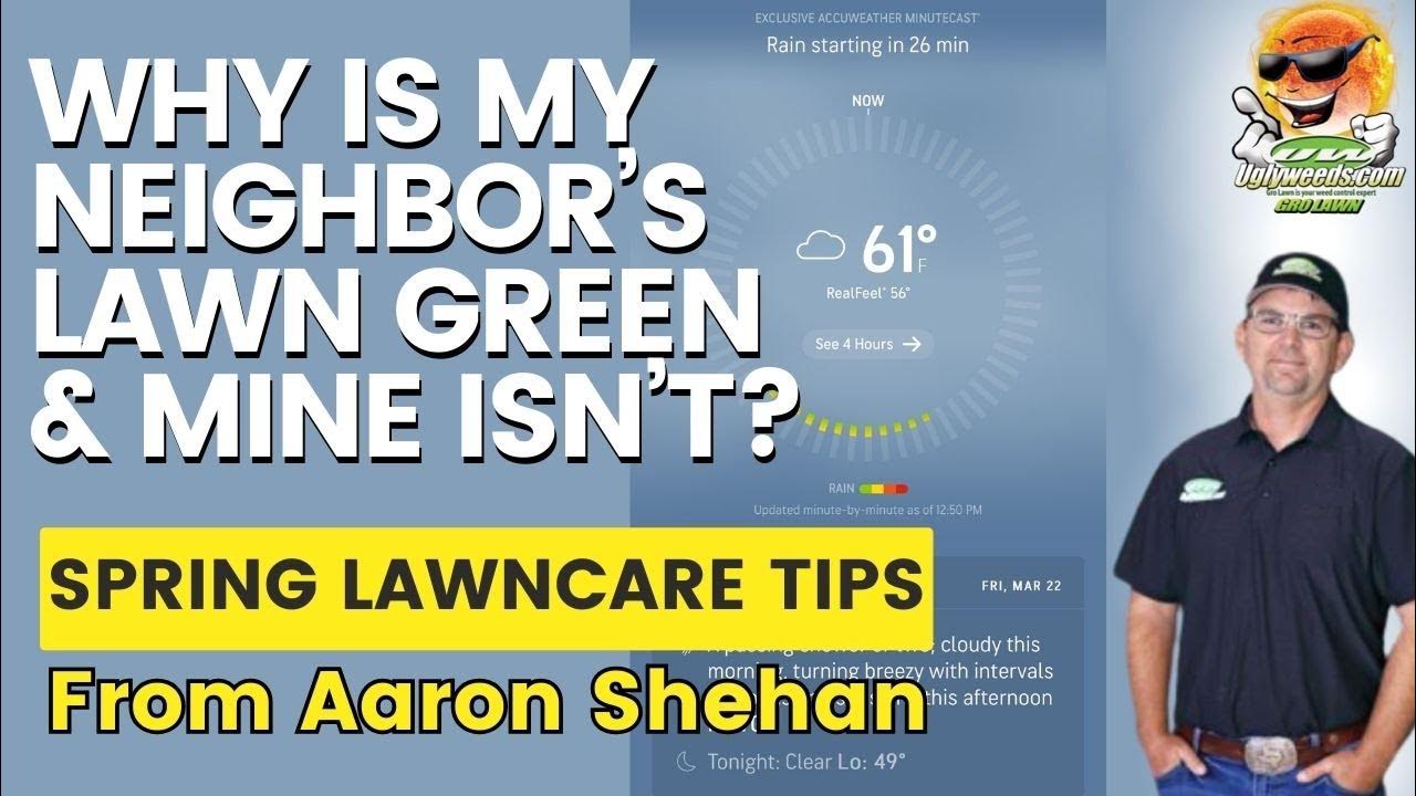 Why Is My Neighbors Lawn Green And Mine Isn t YouTube why-is-my-neighbors-lawn-green-and-mine-isn-t-youtube