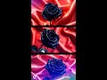 Black Rose
