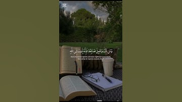 اكتب شيء تؤجر عليه @قرأن و احاديث تلاوة القرآن الكريم راحه نفسيه 🤲