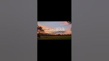 سورة التوبة الآية ( 40 )                        Surah At-Tawbah, verse (40)