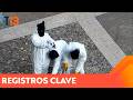 Se ponen overoles blancos y arman molotov en el patio