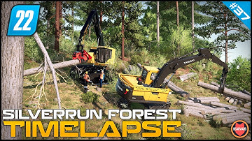 🇺🇸 Logging On A Steep Hill In Tigercat - Survival Logging Series ⭐ FS22 Silverrun Forest Timelapse