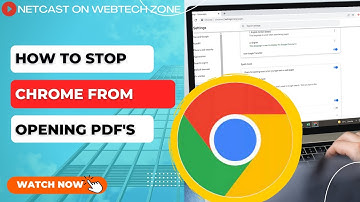 How to Stop Chrome from Opening PDF