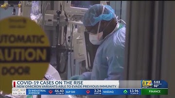 COVID-19 updates and details on the new COVID-19 variant