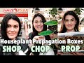 $3 Propagation Boxes - SHOP, CHOP & PROP - Entire Process How To Propagate Houseplants Tutorial