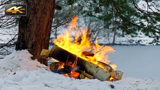 Зимний костер у озера❄️Аутентичный звук и естественная атмосфера