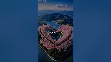 في جنة عاليه " القارئ "عبدالرحمن مسعد ♥🥺😊