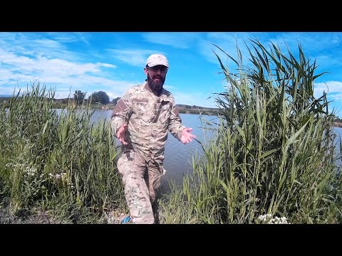 თევზაობა ლოჭინის ტბაზე