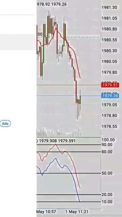 forex trader join vip telegram channel for lifetime free 💰https://t.me/ wbbaSo0pgWtjZTk8