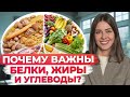 ЭТО обязательно должно быть в ВАШЕЙ тарелке! / Основа нашего рациона: все про белки, жиры и углеводы