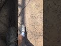 Did You See This?
