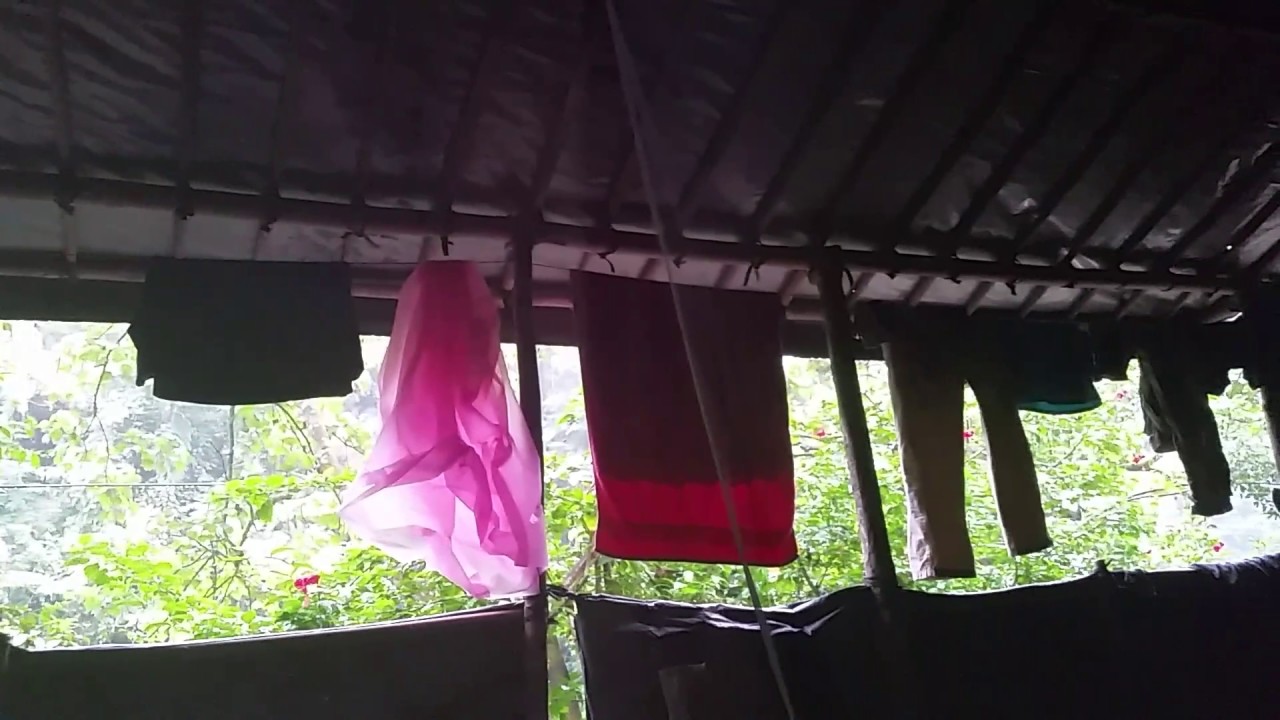 camera iphone 8 plus apk View from Tent at Two-day Trek Campsite in Gunung Leuser Jungle, Bukit Lawang, Sumatra, Indonesia